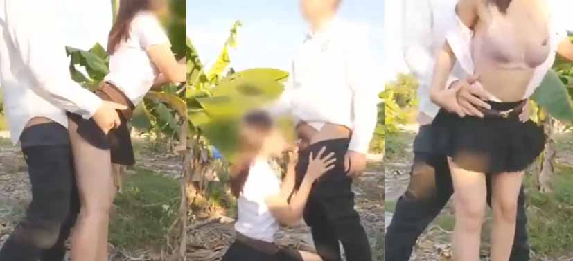 你喜欢我的肉香蕉树吗？